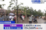 【悲報】ディズニーリゾート「来園者増えすぎ……せや！値上げして客を減らそ！」結果ｗｗｗｗｗｗｗ