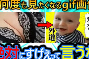 【2ch面白い画像】この最高に面白いgifで笑ったら寝ろwww