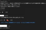【悲報】乳神様系Youtuberコメ欄で援助交際に誘われるｗｗｗ