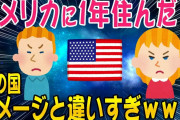 【2ch知識教養スレ】アメリカに1年住んだこの国ヤバすぎだぞwwで暫定としたいです。【ゆっくり解説】