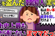 韓国人の泥ママに家を盗まれそうになった→警察に捕まった泥ママは意味不明な事を言っていて、全く話が出来なかった…【スカッと2chスレ】