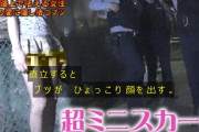 【画像】超ミニスカのまんさん「職質ですか…恥ずかしい」警官「グヘヘスカート上げろ」