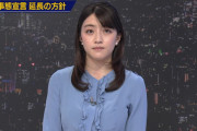 【画像】NHK赤木野々花アナの脇汗＆横乳がヤバイ！ニュース7での滝汗が2chで話題に！