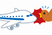 【唖然】飛行機「バードストライク怖いなあ…せや！」