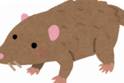 【画像】ネズミをこれだけ捕獲してしまうｗｗｗｗｗｗｗ