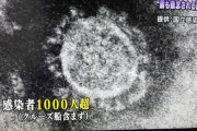 日本国内の新型コロナ感染者、1500人超え　死者は31人に　15日