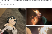 【悲報】オタクさん、声優の結婚に発狂してキャラのぬいぐるみを焼く