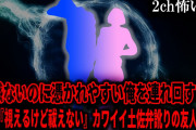【2ch怖いスレ】霊感ないのに憑かれやすい俺を連れ回す、自称『視えるけど祓えない』カワイイ土佐弁訛りの友人【ゆっくり解説】