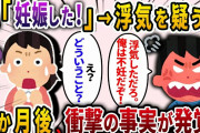 【2ch スカッと】 私「妊娠した！」自称不妊の夫「お前浮気してたのか？」と浮気を疑う夫→数ヶ月後、衝撃の事実が発覚することに…