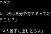 【悲報】統ー母「友達の〇〇くん10人目生まれたらしいわよ、今回は育てるみたい」息子「？？？」