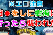 【2ch面白いスレ】自●をしに樹海に行ってきた話【ゆっくり】