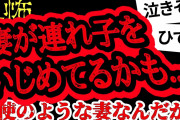 【2ch怖い】【人怖】再婚した妻が自分の連れ子をいじめているかもしれません【ヒトコワ】【聞き流し】【作業用】