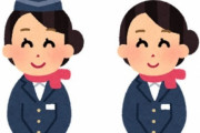 【朗報】ANAのCA、新たな職業に挑戦ｗｗｗ（画像あり）