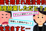 【2chスカッと】半身不随の妹のため父の遺産を放棄した私。その話をしたら旦那が殴り掛かってきて病院送りにされた！！！【ゆっくり解説】