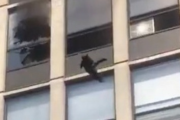 【動画】ネコちゃん、火災のビルから決死のダイブをしてしまうwwwww