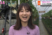 【画像】NHK浅田春奈アナのニットπの破壊力がすごいと話題に