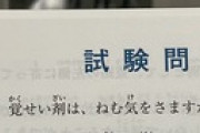 仮免試験「お酒を飲んで運転してはいけませんが・・・」彡(ﾟ)(ﾟ)「そらそうやろ」