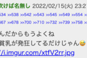 【悲報】女ゲーマーたぬかな、人権発言謝罪後も、５ちゃんで自作自演「たぬかなは謝ってんだから許してやれよチビと貧乳w」⇒すぐにバレてまた炎上ｗｗｗｗｗｗ