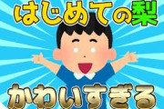 【2ch面白いスレ】2才息子の梨好きが可愛すぎるwww【ゆっくり解説】