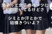【画像】JKのパンツの真実