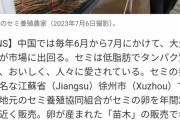 【悲報】日本の”セミ”、中国人にバレてしまう……