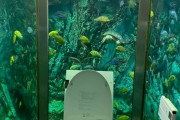 【画像】水族館トイレがこちらｗｗｗｗｗｗｗｗｗｗ