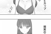 【悲報】Eカップ、男と女で認識が違い過ぎる