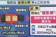 【悲報】自民党「DLした画像が盗撮なら豚箱行きね！スマホに保存した奴もNGｗ」