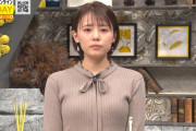 【画像】宮澤智アナ おっぱいを頑張ってしまう