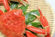 【悲報】日本政府「カニとサケは国民のみんなが食いたいから禁輸しない」