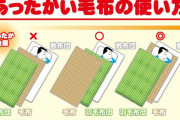 【画像】正しい毛布の使い方wwwwwwwwww