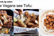 【画像】ヴィーガンさん、たった1枚の画像でヴィーガンの食生活の豊かさを表現してしまう