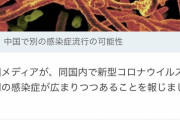 【速報】中国でコロナとは別の感染症流行の可能性！！！！？