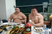 強い相撲取りってただのデブじゃなく筋肉質ですごい身体してるよなｗｗｗｗｗ