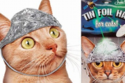 【朗報】 ネコ用アルミホイル、爆誕wwwww