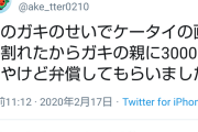 【動画】太鼓の達人プレイヤーさん、幼児にスマホを破壊されブチギレ