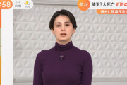 【画像】ホラン千秋さんのニットおっぱいがすごい