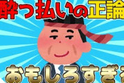 【2ch面白いスレ】JKに対する酔っ払いの正論が面白すぎるwww【ゆっくり解説】