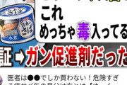 【悲報】霊夢「サバ缶はガン促進剤よ」→64万再生