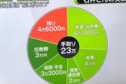 【唖然】『手取り23万円』の生活がコレ……………→やっぱ日本終わりすぎやろ……………