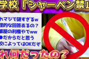 【2ch面白いスレ】小学校でシャーペンが禁止の理由ガチで謎すぎるww【ゆっくり解説】