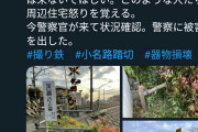 【画像】撮り鉄、お婆さんの庭の木を勝手に切り倒してしまう