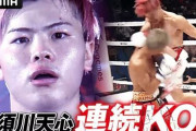 那須川天心（26歳、キックボクシング42戦42勝、総合格闘技4戦4勝、ボクシング6戦6勝）←この人の評価