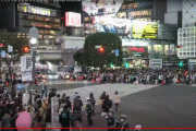 【gif】ちんさん、渋谷でチ●コに仮装してしまうｗｗｗ