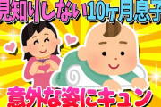 【2ch面白いスレ】人見知りをしない10ヶ月息子の意外な姿にキュン【ゆっくり解説】