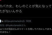 【朗報】 ネトウヨの王・百田尚樹氏となんＪの姫・香山リカ氏による熱いレスバがこれ