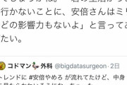 【朗報】安倍信者さん「安倍さんを叩いても君の生活には1ミリも関係ないよ？」←！！！！！！