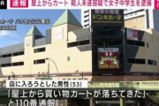 【悲報】ノリでドンキの屋上から買い物カートを投げた女子中学生、殺人未遂で逮捕