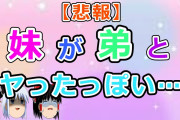 【2ch面白いスレ】【悲報】妹が弟とヤったっぽい…【ゆっくり】