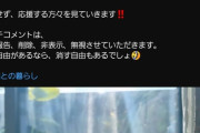 【悲報】例の海で溺れてた子猫を助けた聖人YouTuber、お気持ち表明